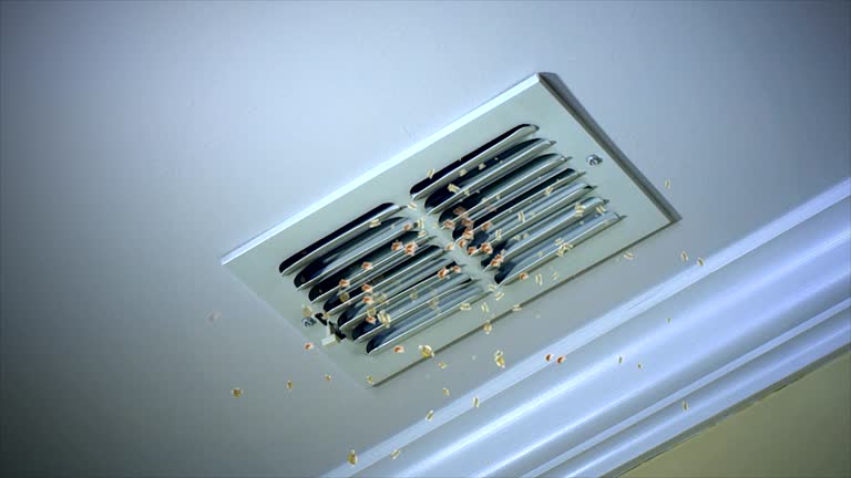  Walbridge, OH Airduct Cleaning Pros