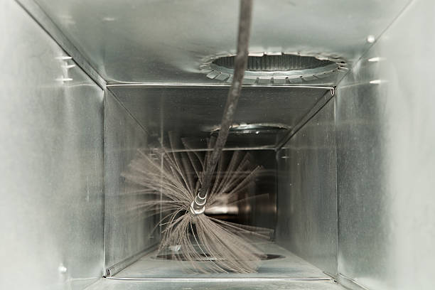 Best Air Duct Sanitizing Services  in Walbridge, OH