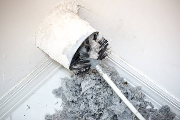 Best Dryer Vent Cleaning Services  in Walbridge, OH
